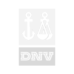 dnv.png