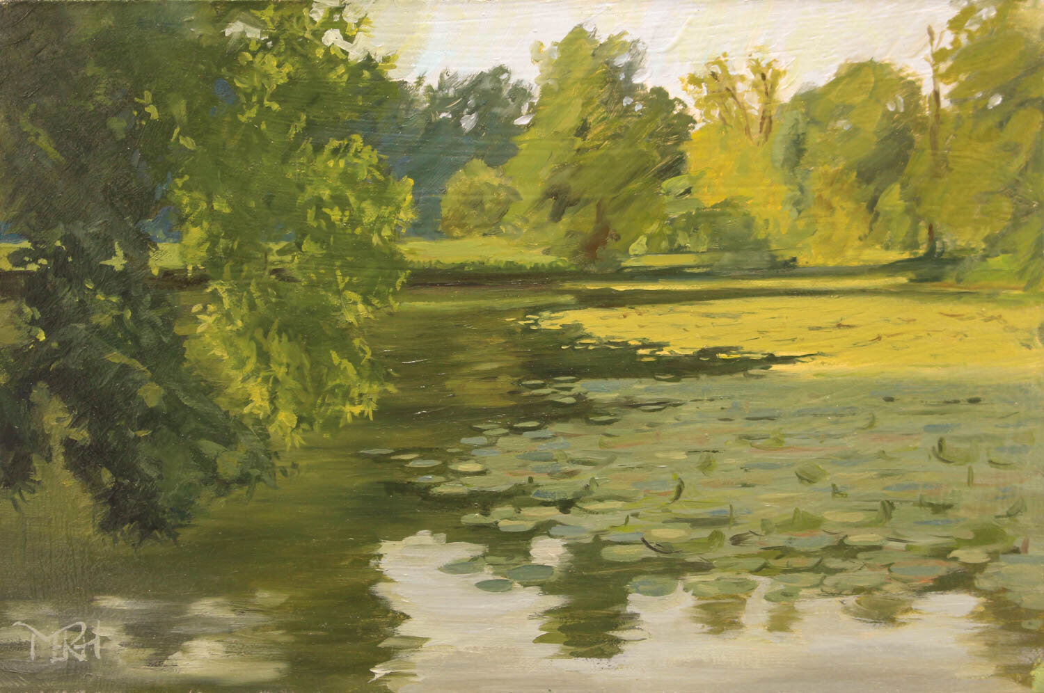 'Pretty Pond in Morning Light'