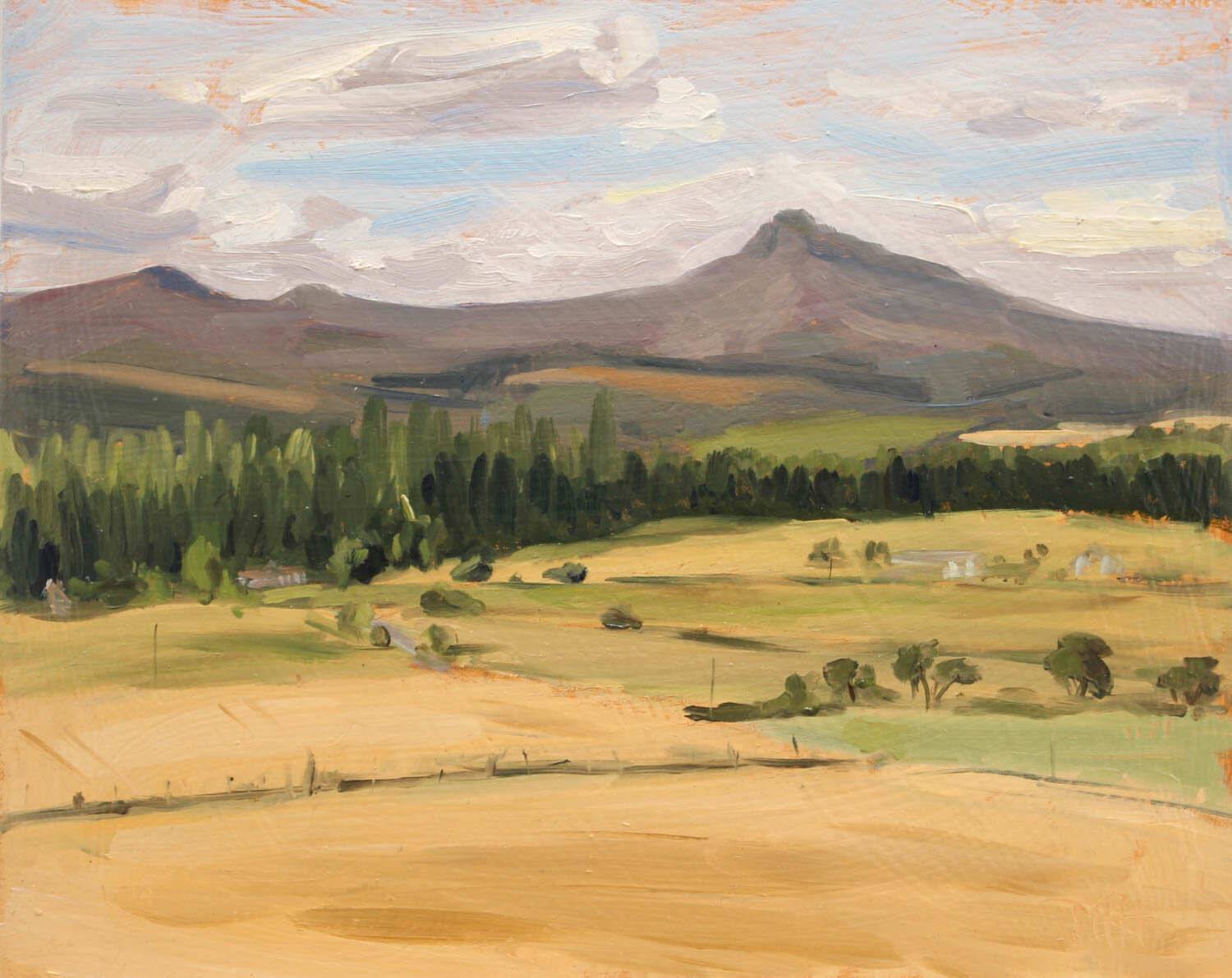 'Bennachie Study, Summer'