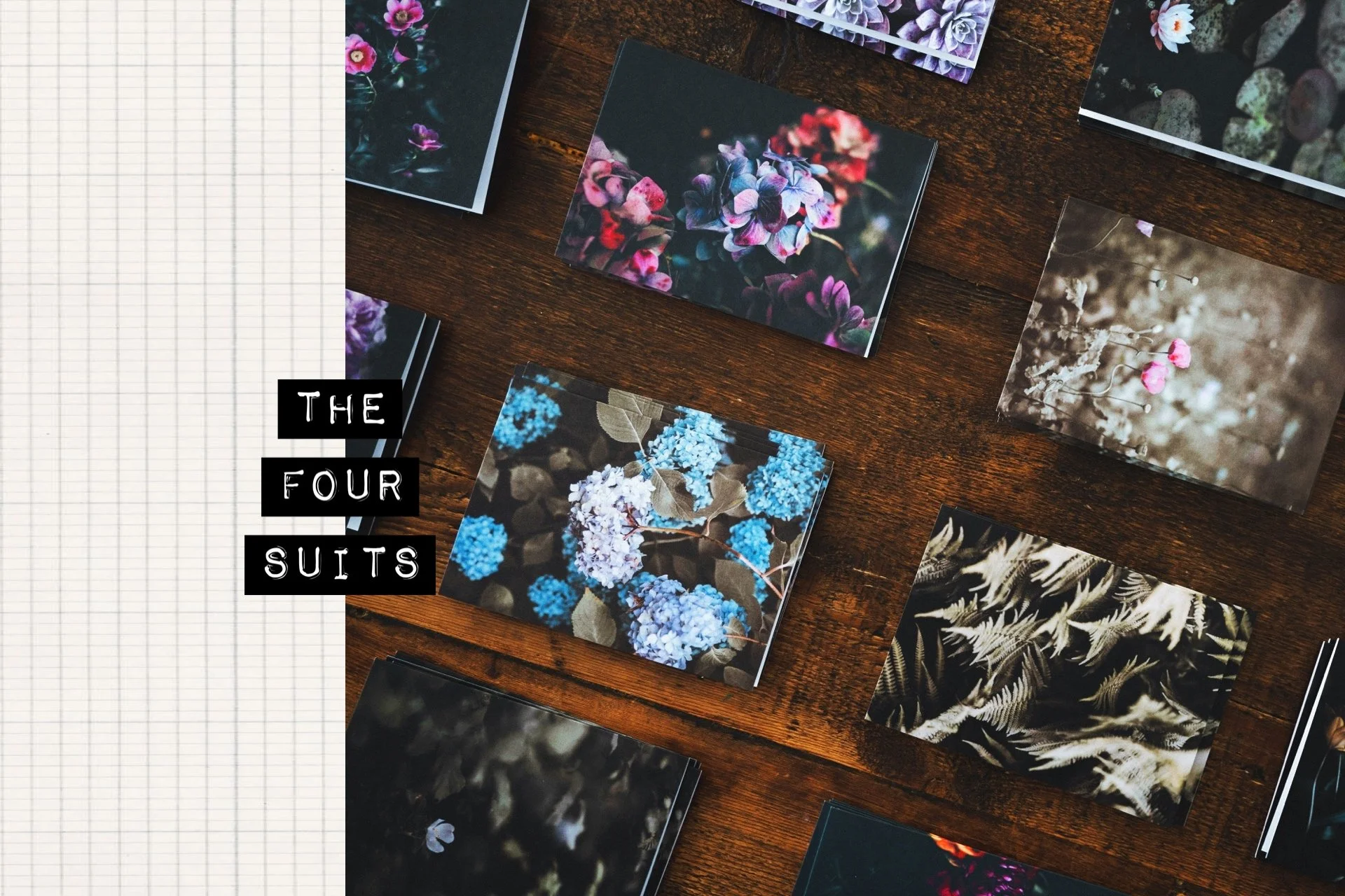 ❖ the four suits: how our daily activities cultivate the garden | 4