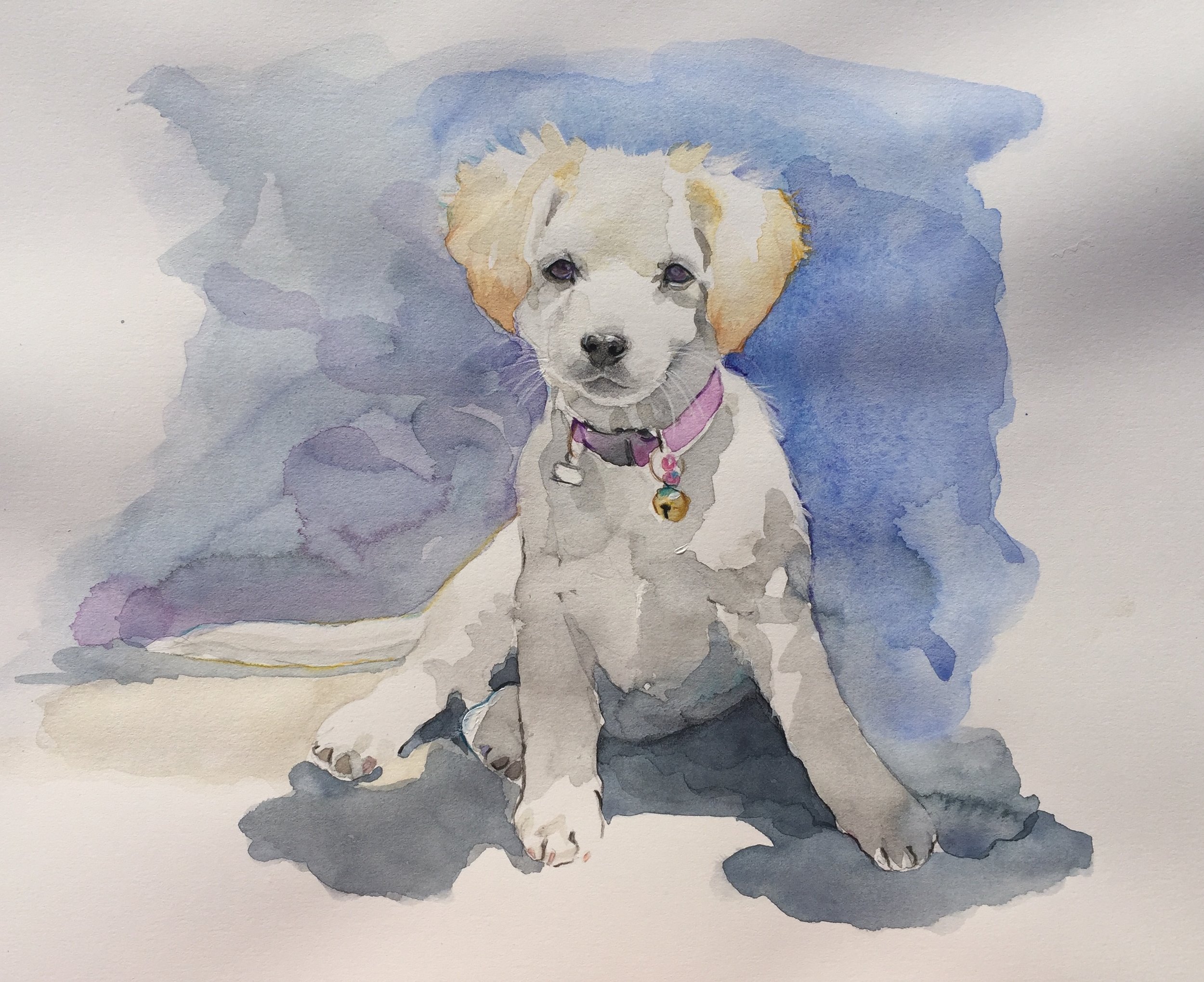 Watercolour dog.jpg