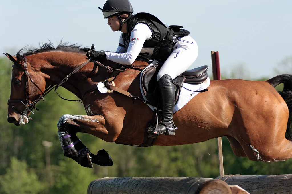 Inoui van Bost - Successful CCI** Young Riders mount