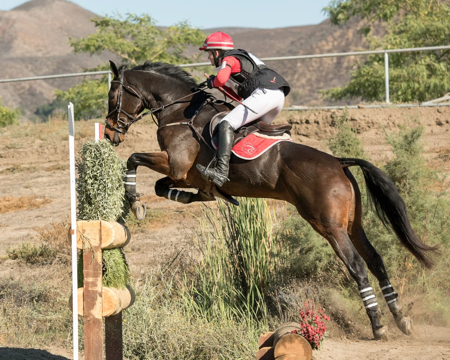 Carry On - 2016 Galway Downs CCI*** Champion ( EN )