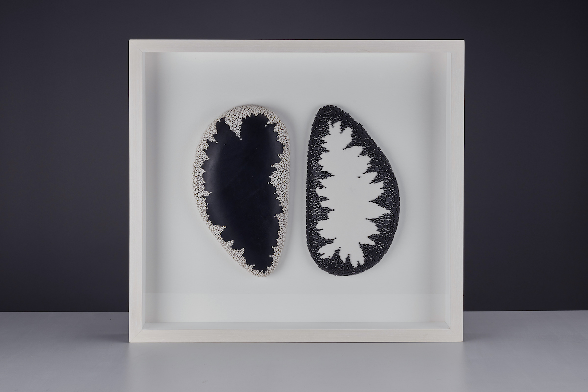 Specimen No. 011 & 012 (Muscle Shells) Cregyn Gleision Date of Creation : 12/2017 Material : Leather Size : (individual muscle shell) Width: 15.3cm, Depth: 4.2cm, Height: 28.5cm, Weight: 3.11200 kg Process : Wet hand moulded Leather, decorated with thousands of leather discs.