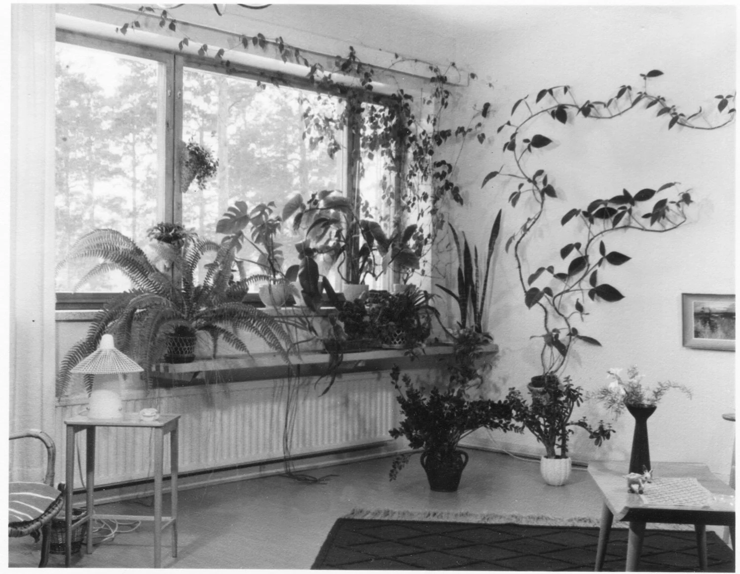 DI Paavo Alavan Runkolan kotia vuonna 1954.