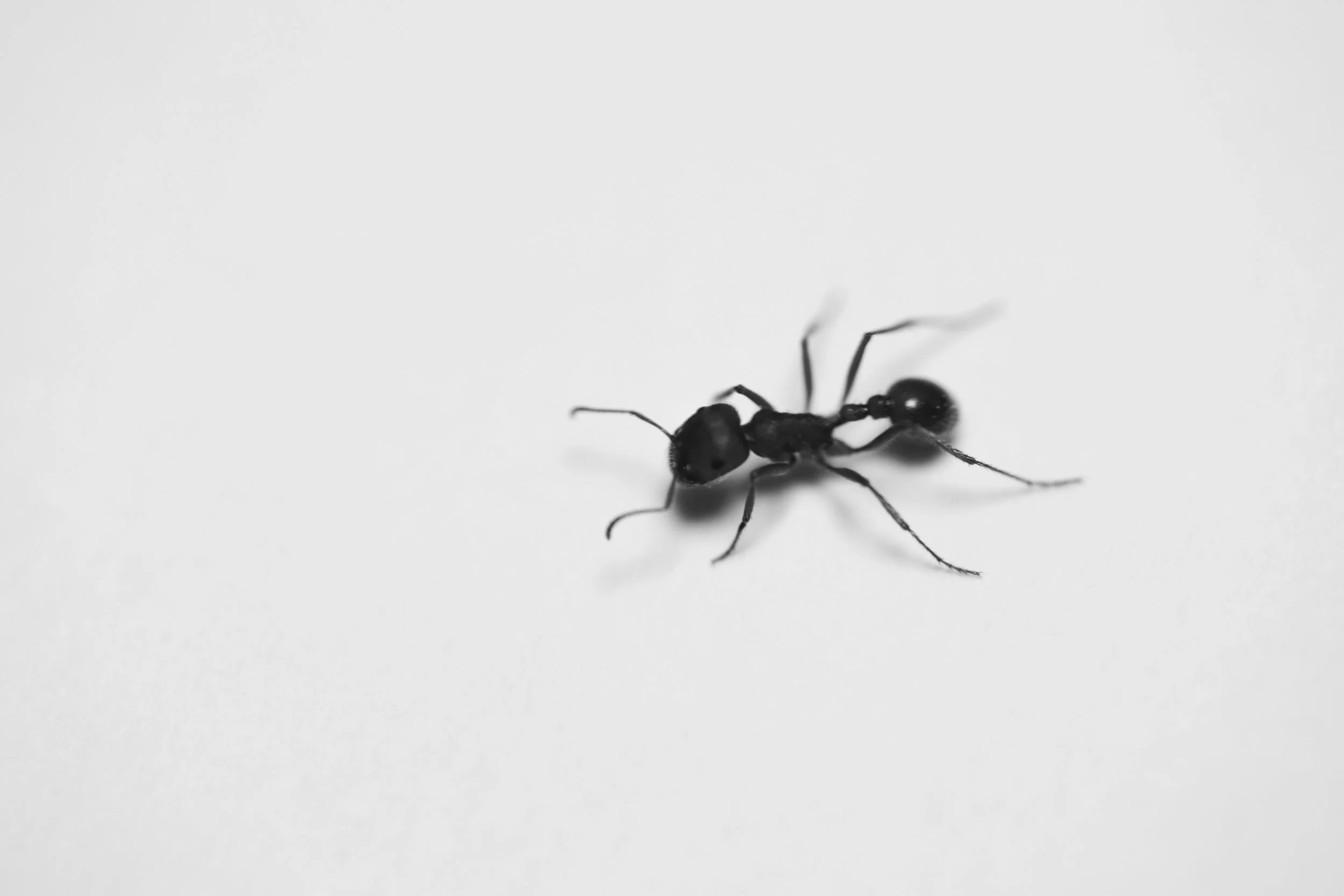 _E7A5181.jpg