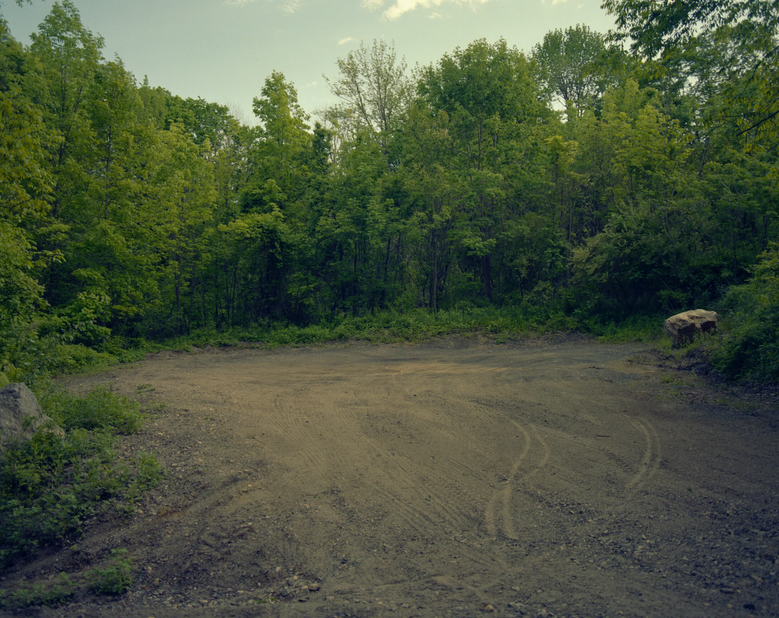 img20200704_14143404 copy.jpg