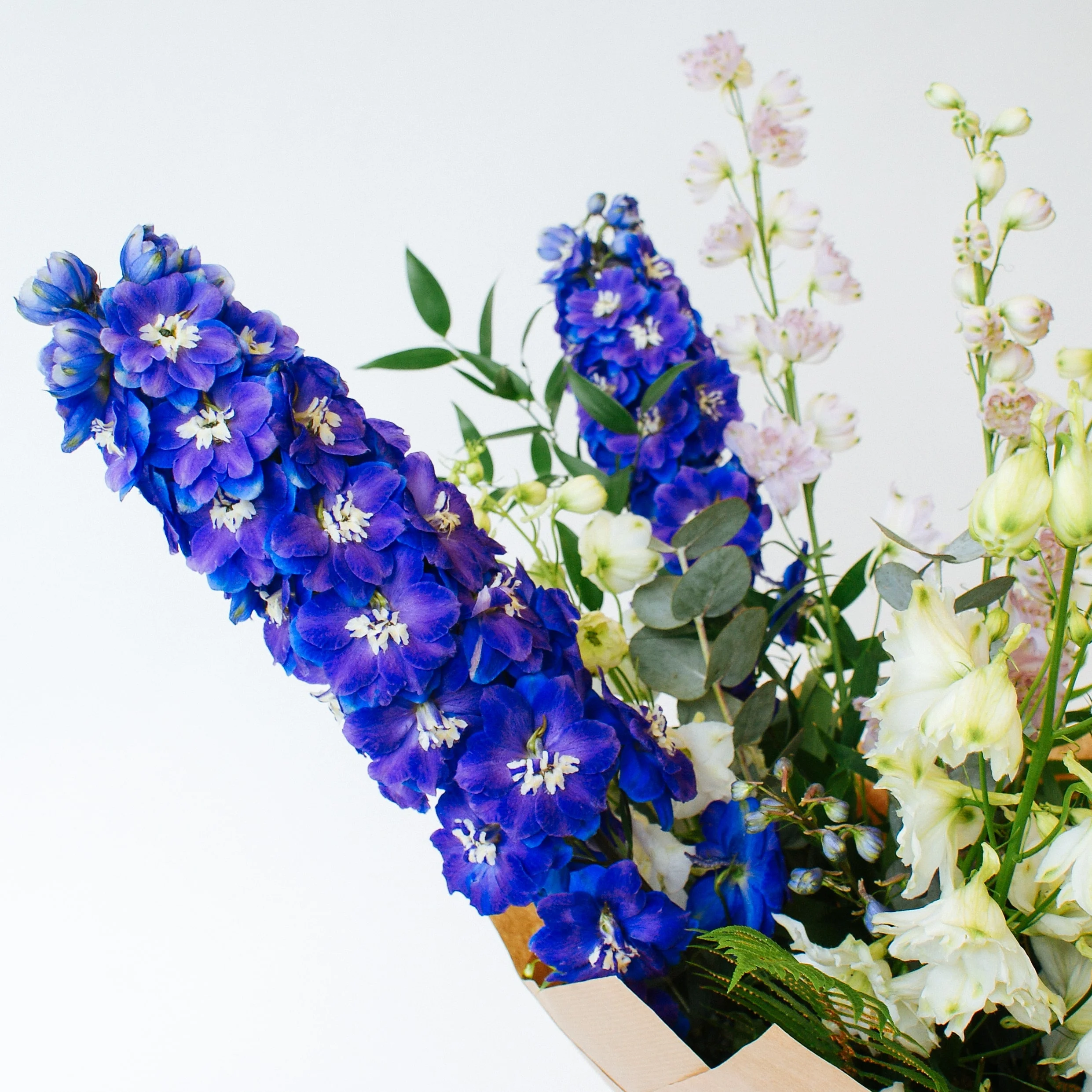 holly and ivy-summer-2019-7-min.jpg