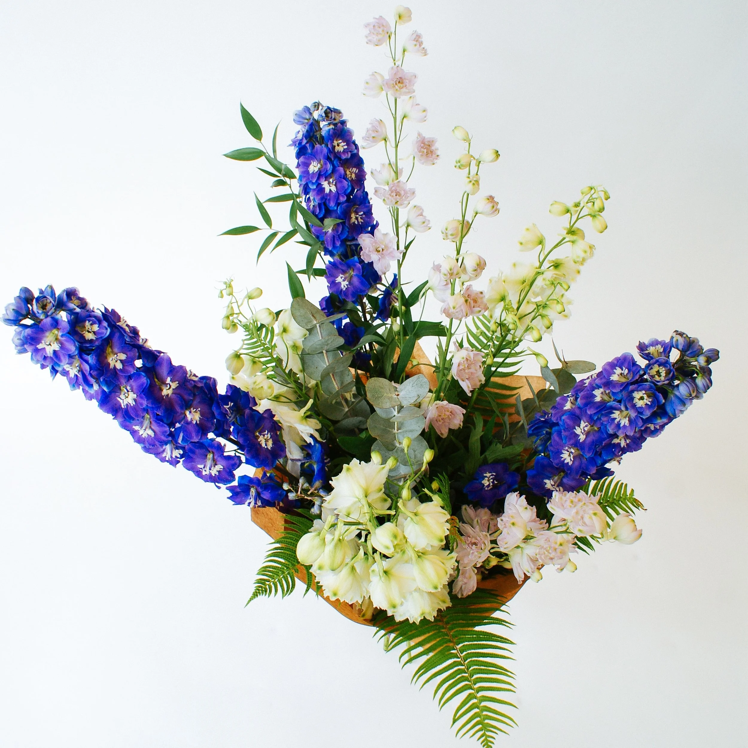 holly and ivy-summer-2019-8-min.jpg