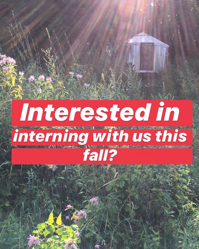 Our herb farm is looking for a 2019 fall intern to join us this September &amp; October. Our community homestead, event space, and herb farm in Accord, NY is looking for an intern to support farm activities, particularly with harvesting and drying me