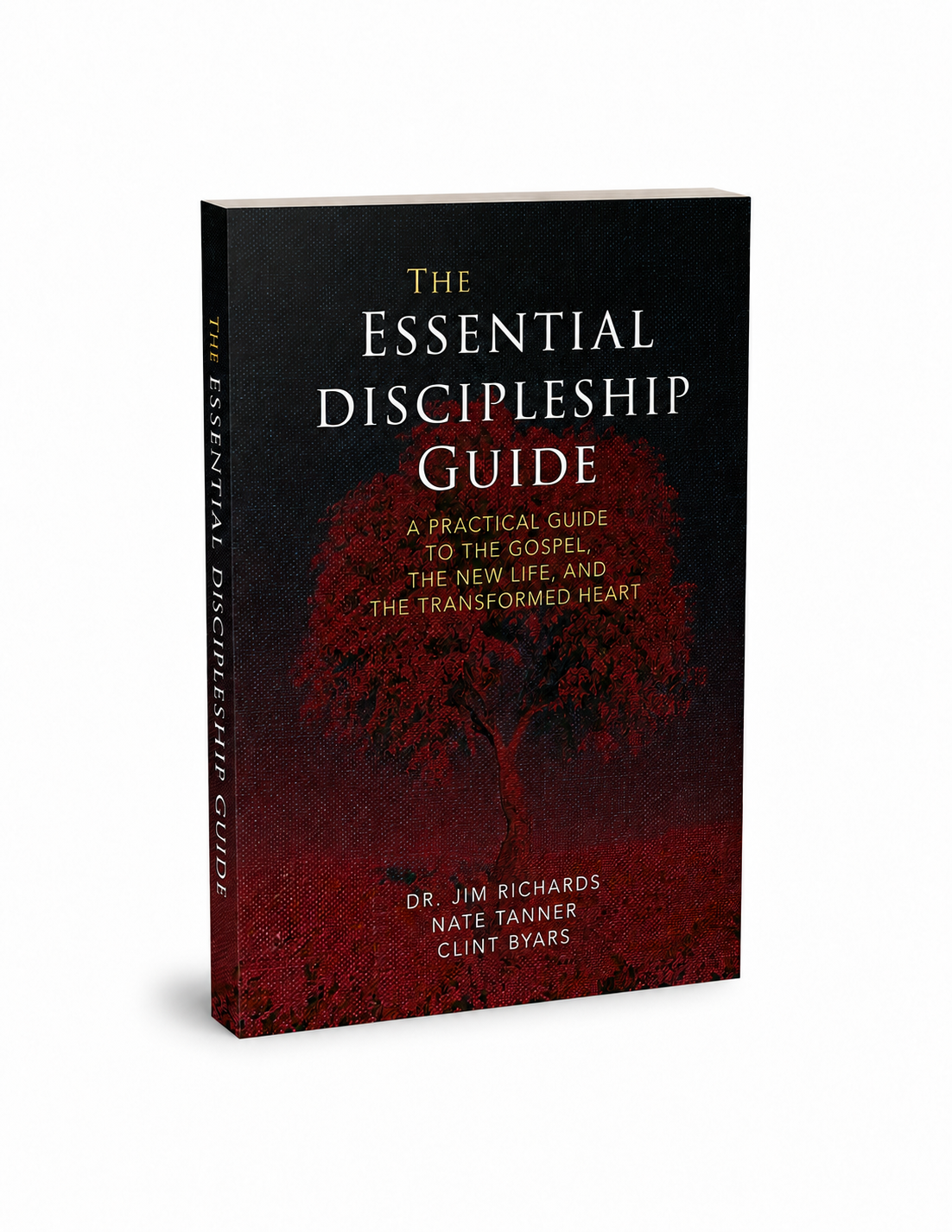 3d essential discipleship guide 2.png
