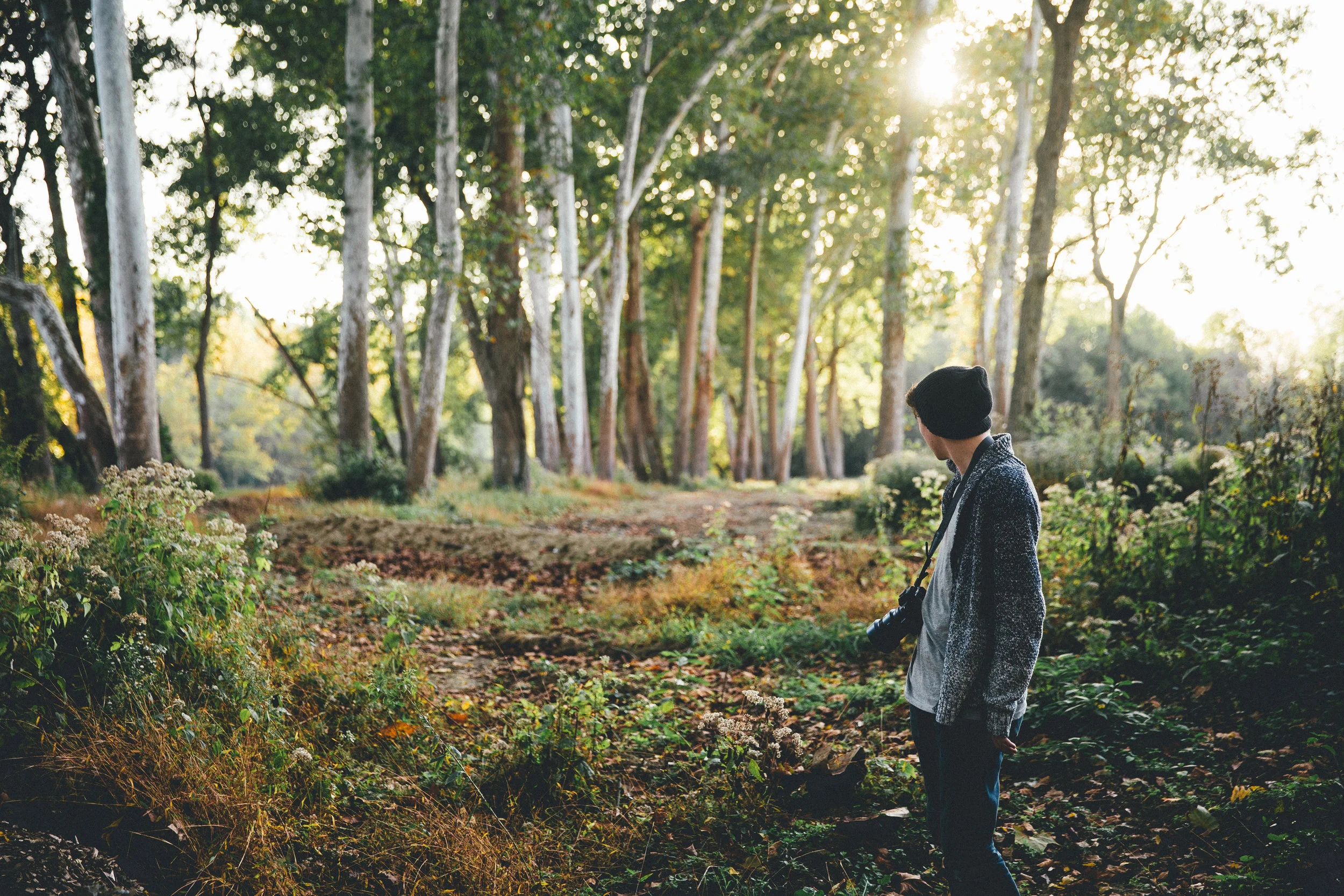 Learn to Live from Your True Eternal Self