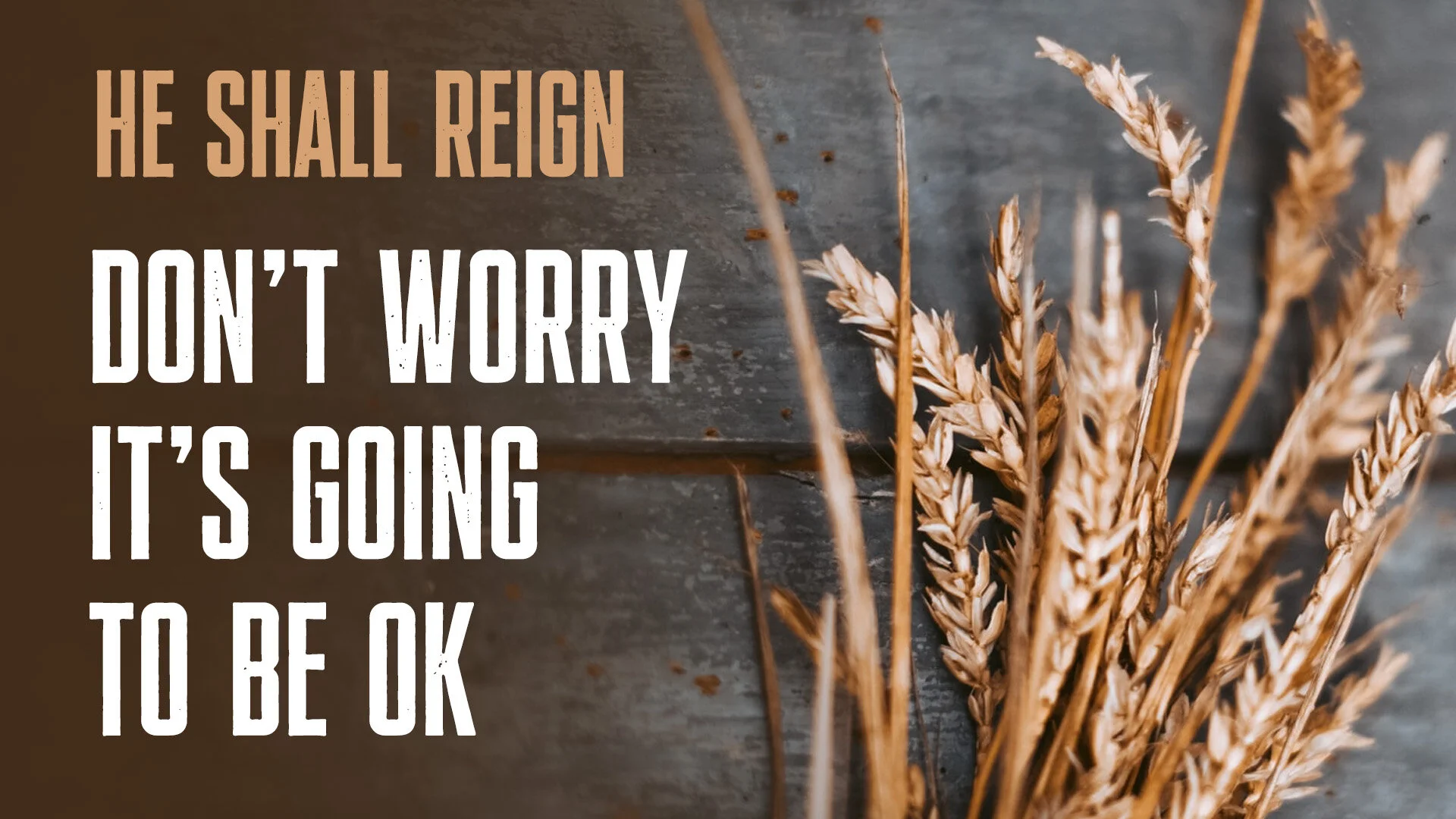 Don’t Freak Out, It’s Going To Be OK