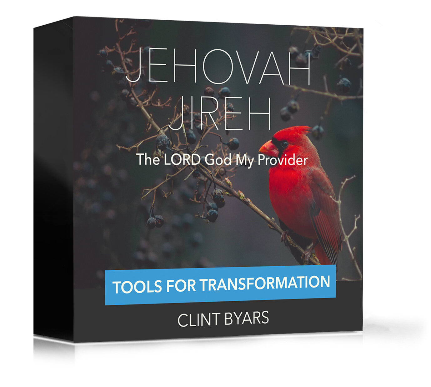 Jehovah Jireh 3D.jpg