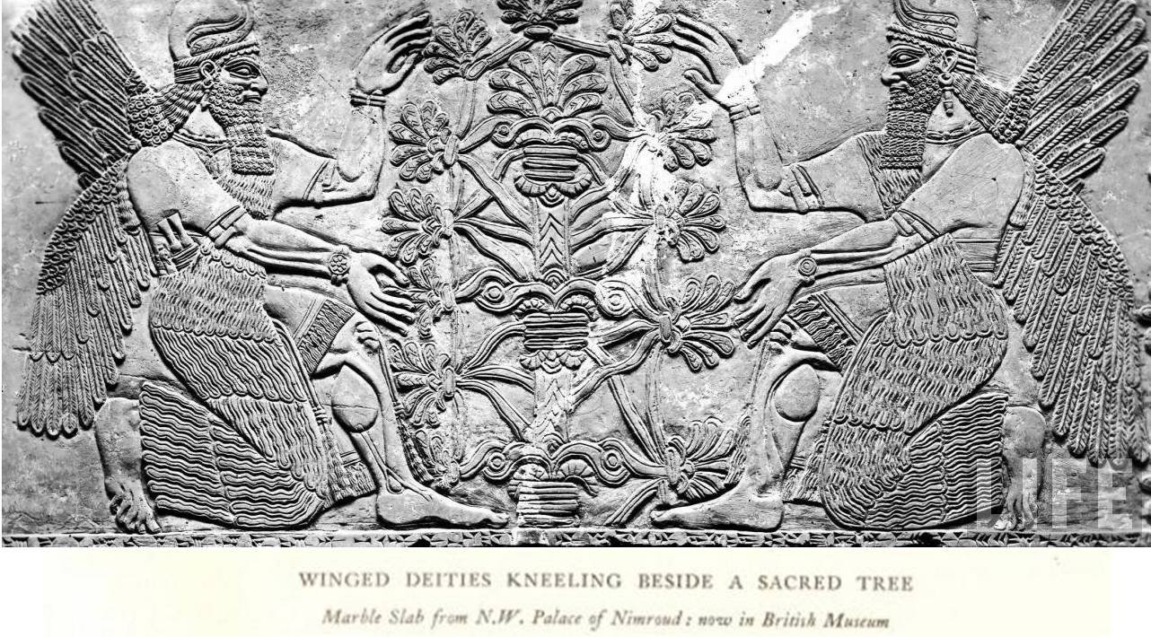 lrg-1016-palaceofnimrud-britishmuseum-treeoflife-babylonians-assyrians.jpg