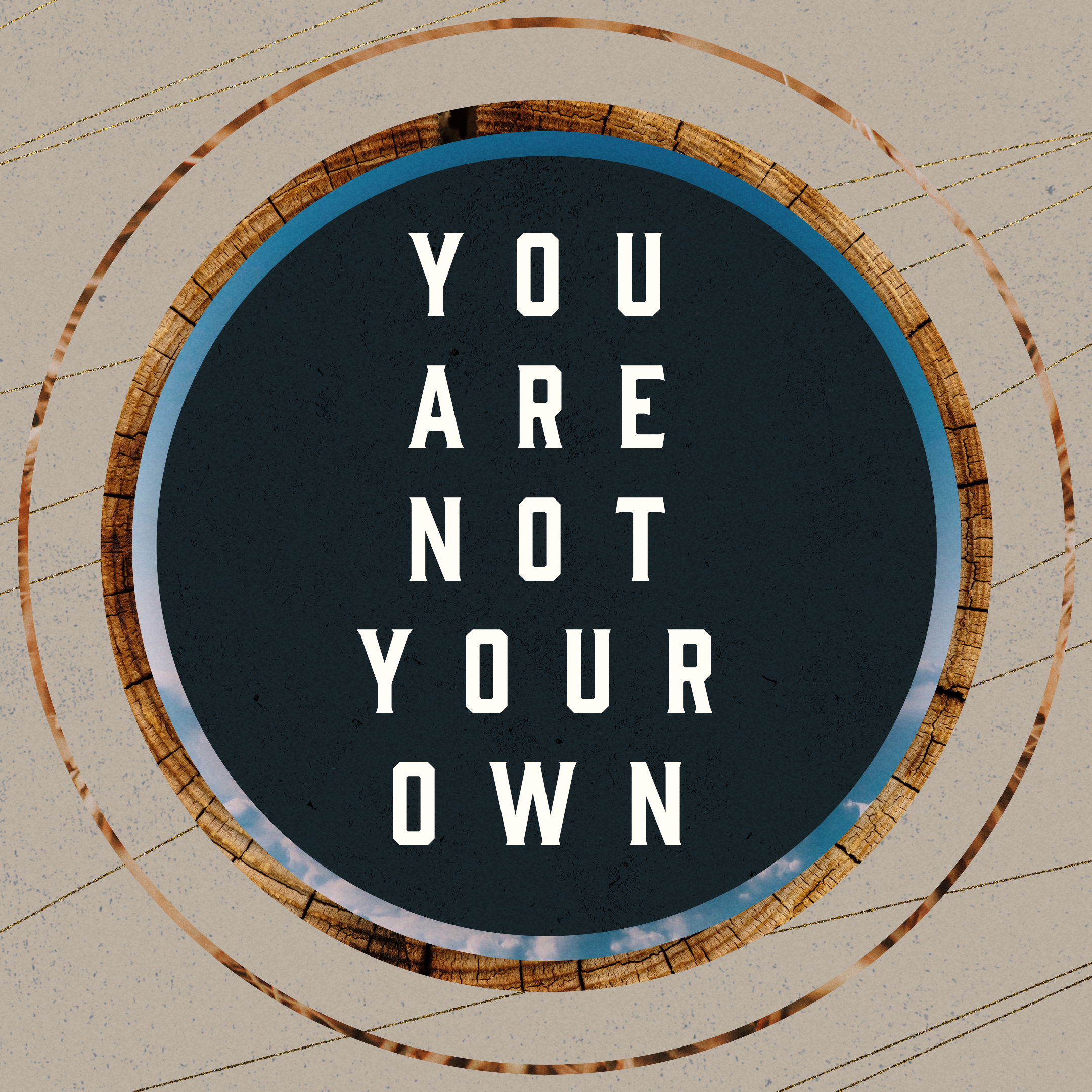 You Are Not Your Own.png