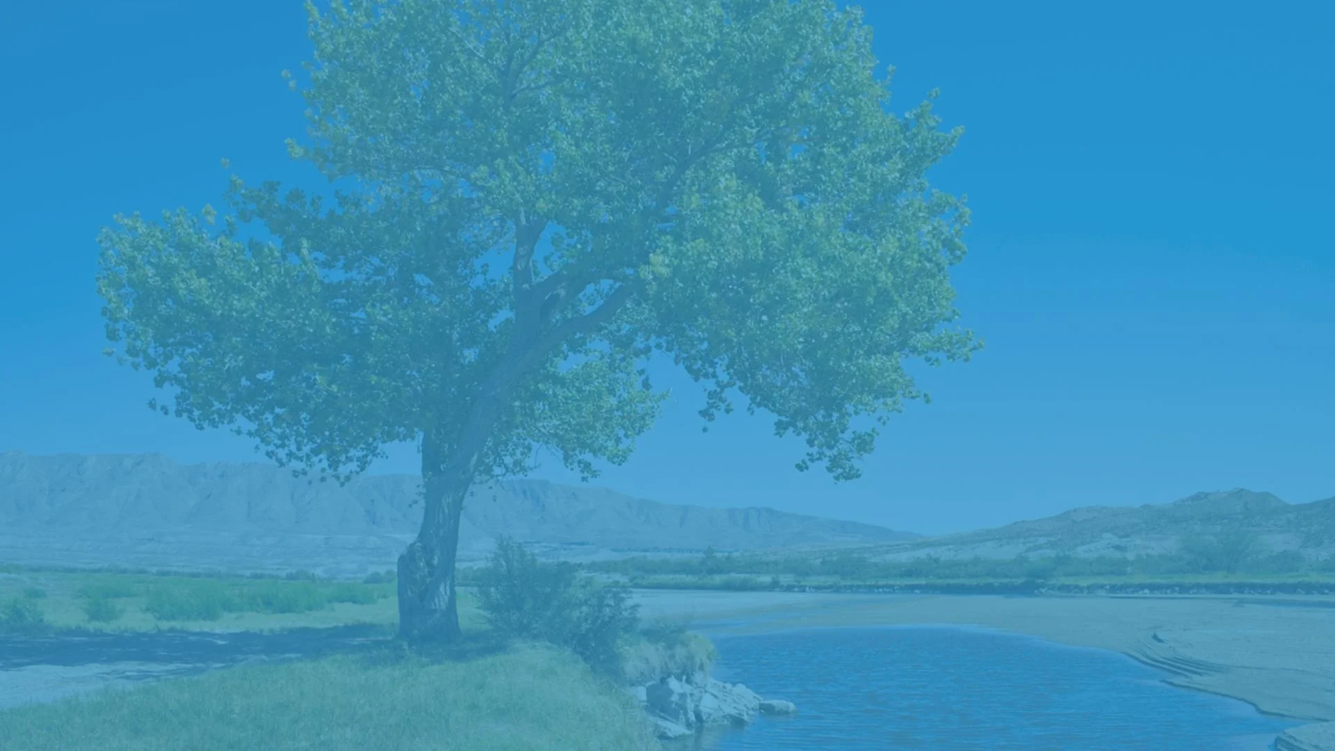 The Spiritual Natrure of Provision BG.jpeg