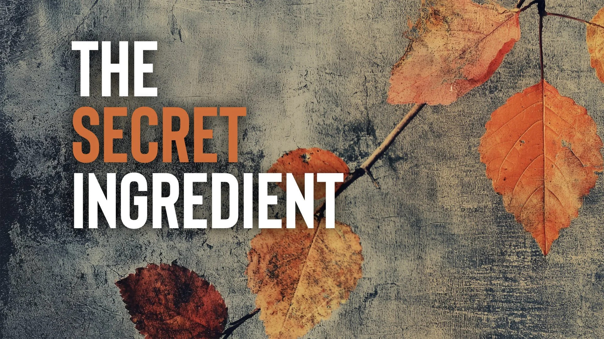 Gratitude: The Secret Ingredient for Transformation
