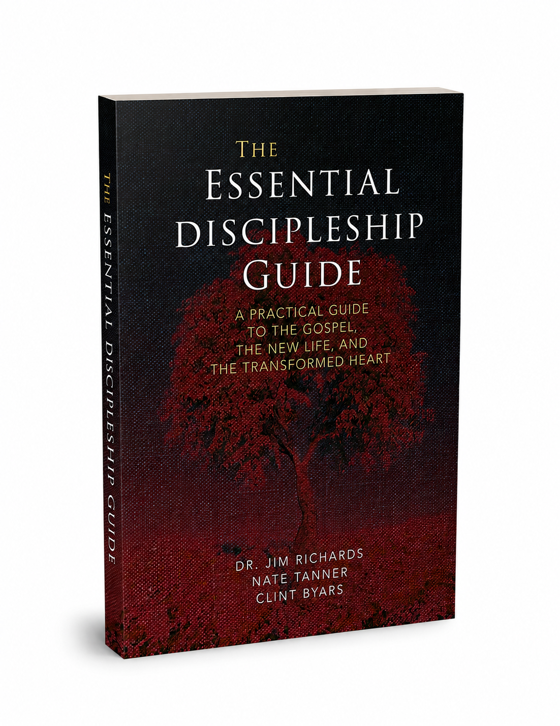3d essential discipleship guide.png