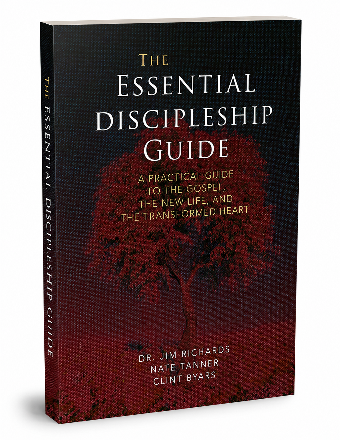 3d discipleship guide.png