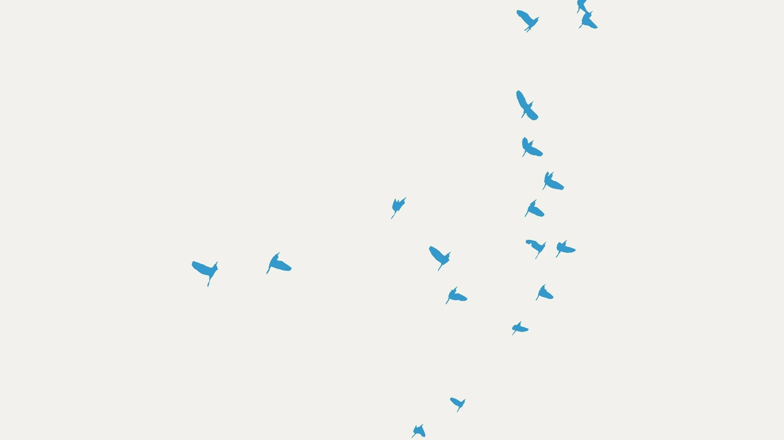 grace frees you header.jpg