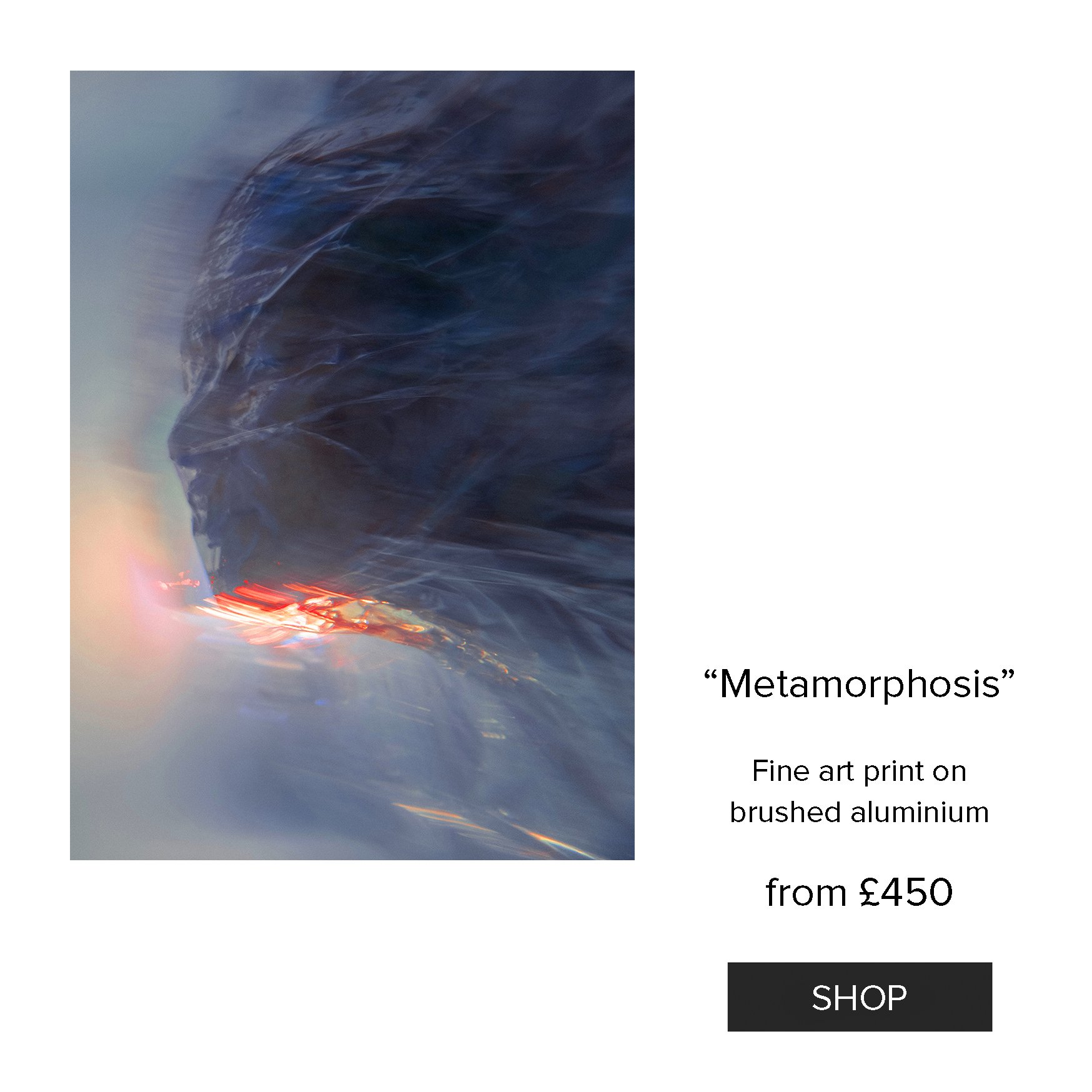 Shop Metamorph.jpg