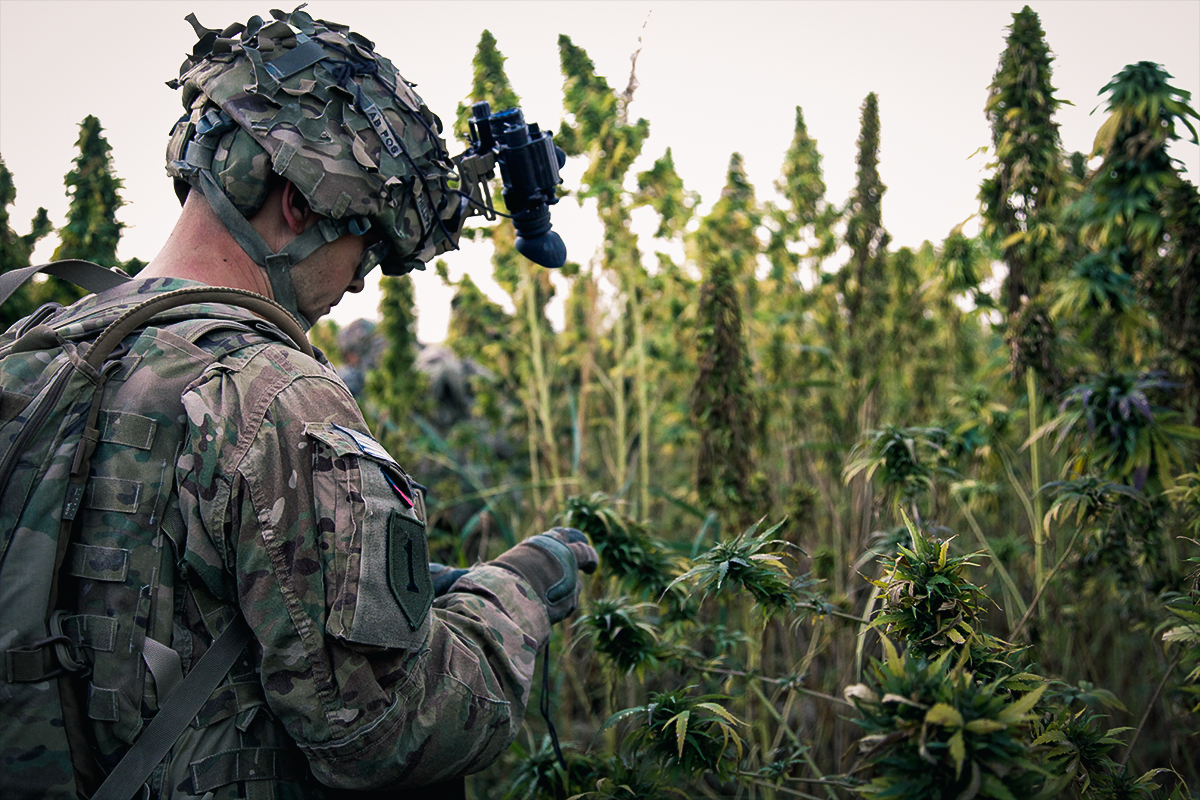veterans_legalization_coffeeordie.jpg