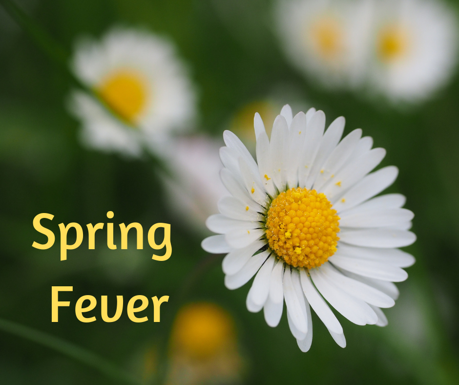 Springtime is Goal Time!