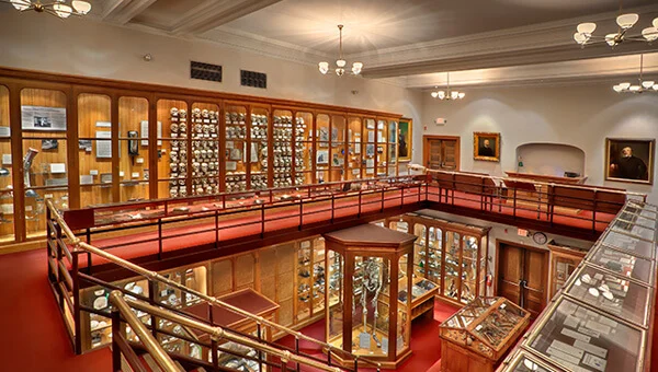Mütter Museum