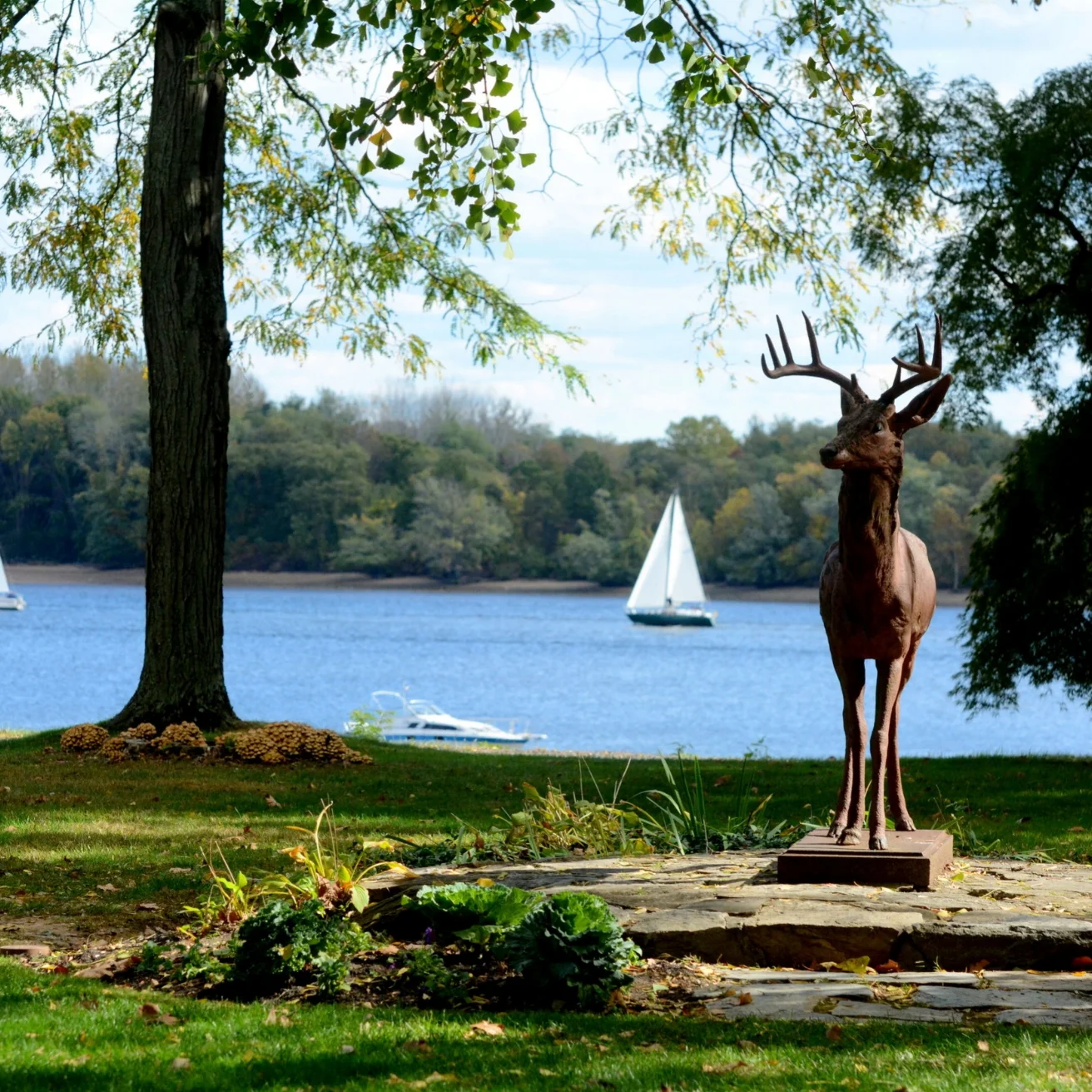 deer state with boats in background - Lisa Varley.jpg