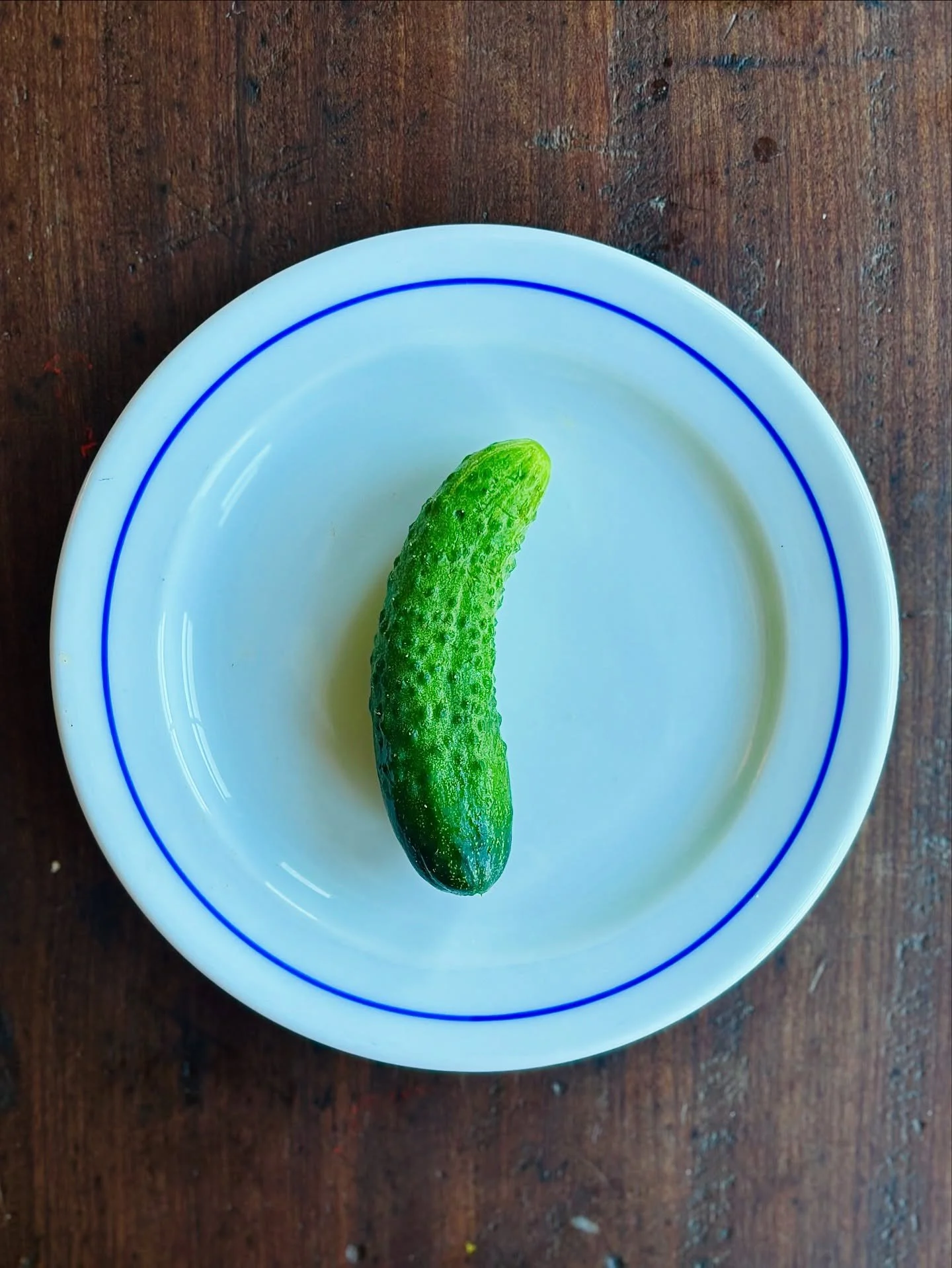 Want to celebrate some of the places that have fed and looked after us so amazingly recently. Hospitality businesses are working harder than ever to provide big slices of joy with the tiniest margins. What a privilege it is to EAT and to work. Every 