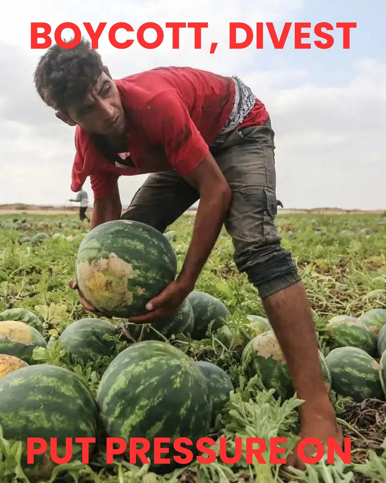 Still NO BUSINESS AS USUAL while Palestine starves. Get louder. Open conversations. Enquire why your food industry colleagues don&rsquo;t feel able to publicly condemn Israel&rsquo;s very deliberate mass starvation of an entire population. Food is po