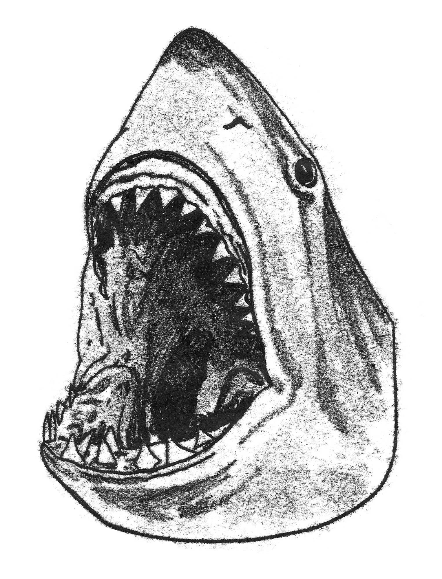Great White