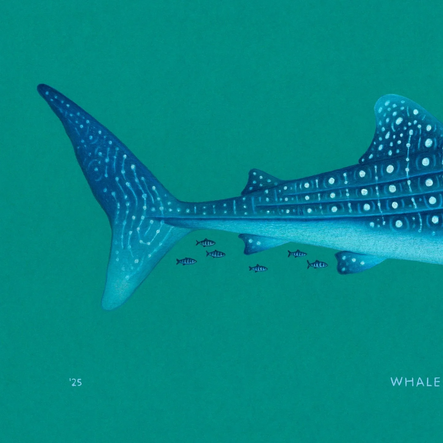 Absolutely terrible at posting on here this year even by my standards 😅 But I&rsquo;ve been working on a very exciting project for the last six months which I&rsquo;m hoping I&rsquo;ll be able to share soon! To sign off here&rsquo;s a nice little pr