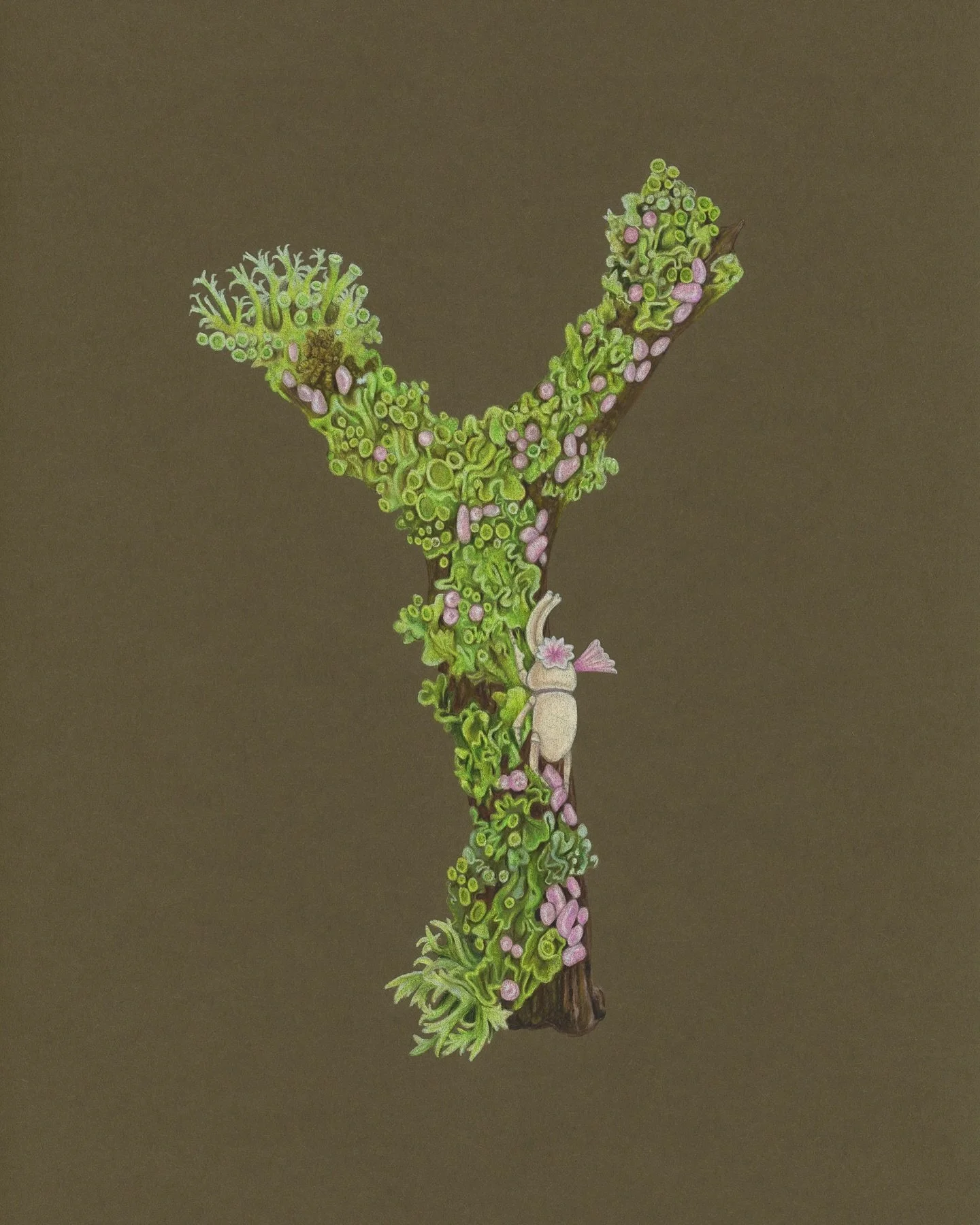 🪸 Twiggy 🪸

One of my new works on paper for the exhibition Skeletal Whispers with @martamattsson_jewellery 

I imagined the creature on M&auml;rta&rsquo;s brooch crawling up lichen covered twigs laying its little pink gemstones. 

I love looking c