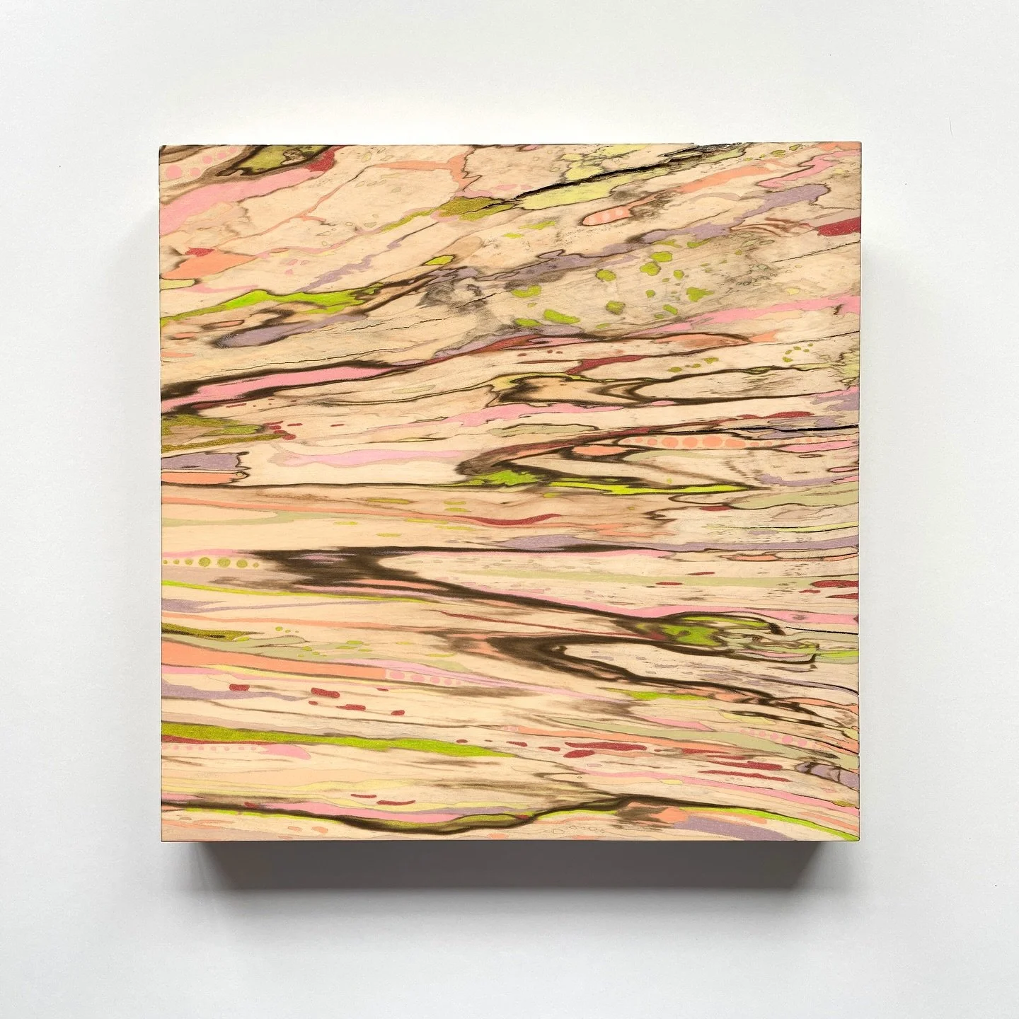 🪰 Wingwood 🪰

Another of my wood pieces for the exhibition Skeletal Whispers with @martamattsson_jewellery 

This was inspired by the beautiful cicada wing pieces M&auml;rta makes. I used the existing patterns and shapes present in the spalted wood