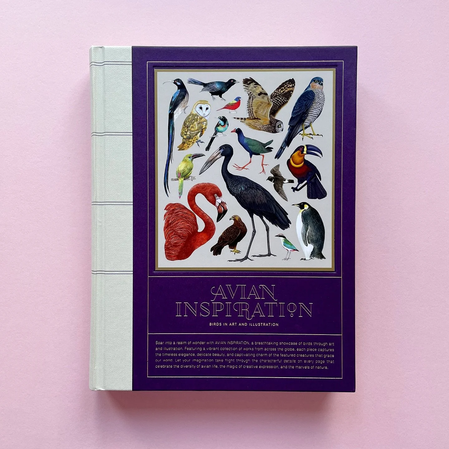 This beautiful book from @victionworkshop just landed on my desk 🦅 Jam-packed with loads of lovely bird inspired artworks - thrilled to be included alongside all the other artists. 

#victionary #avianinspiration #birdillustration #bookillustration 