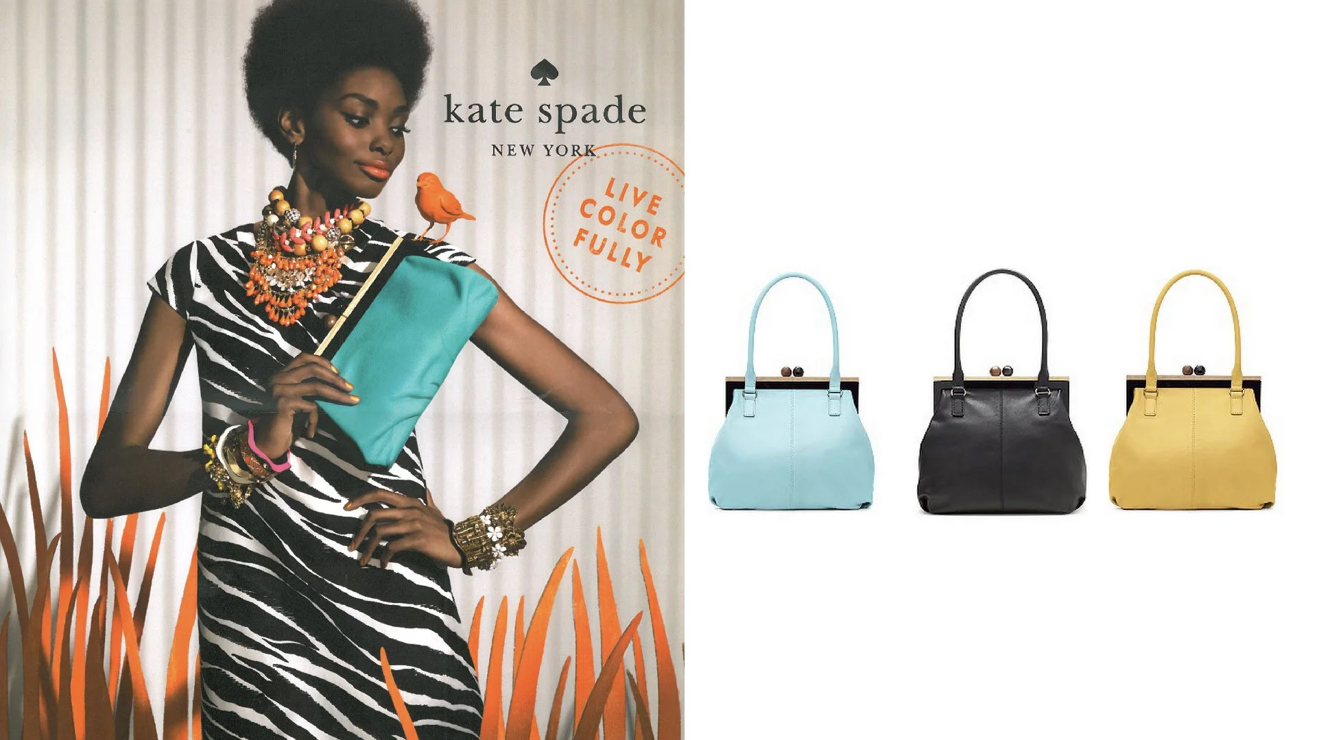 KS -WEB SIZE copy-01.jpg