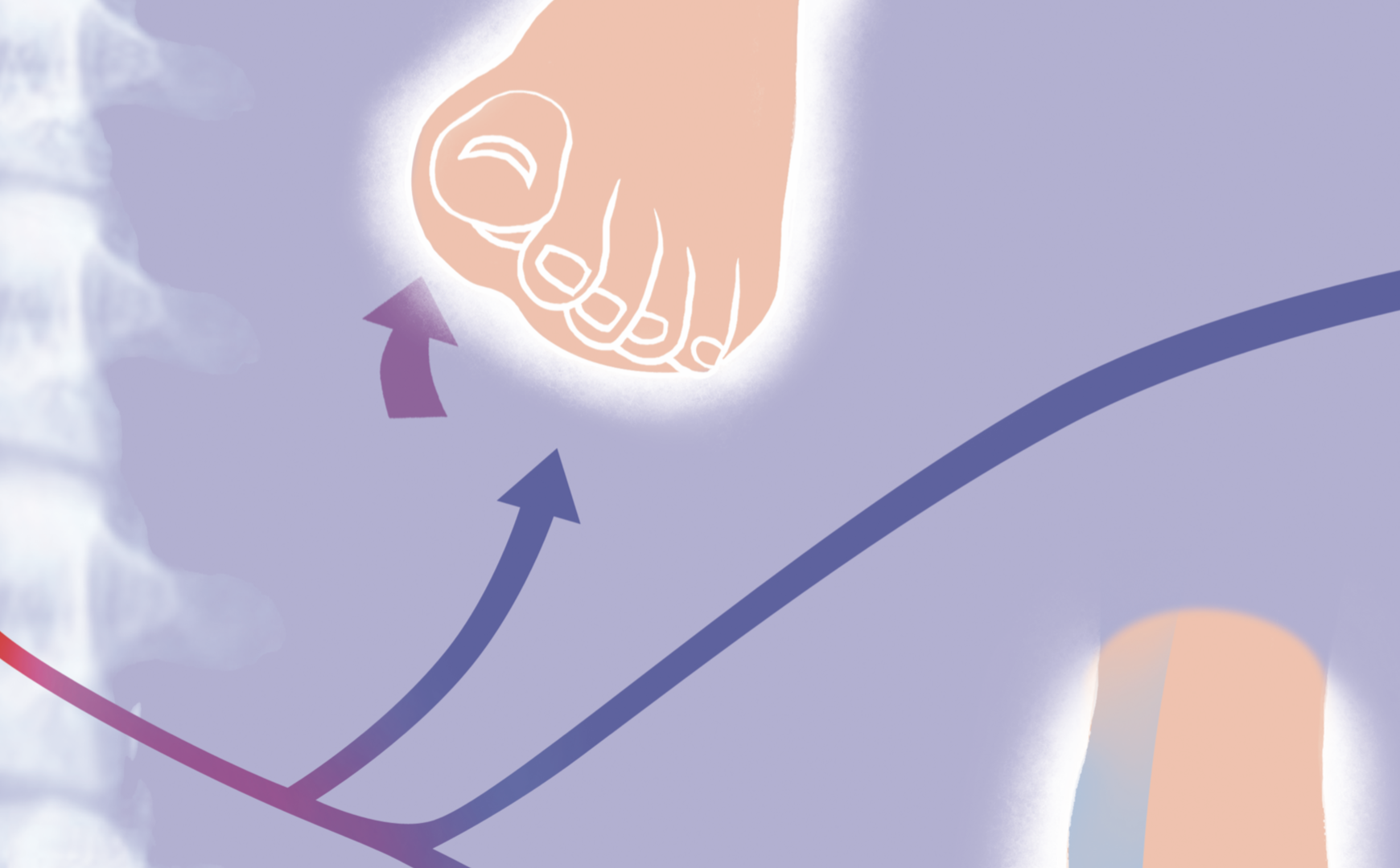 L4 Chiropractic Poster