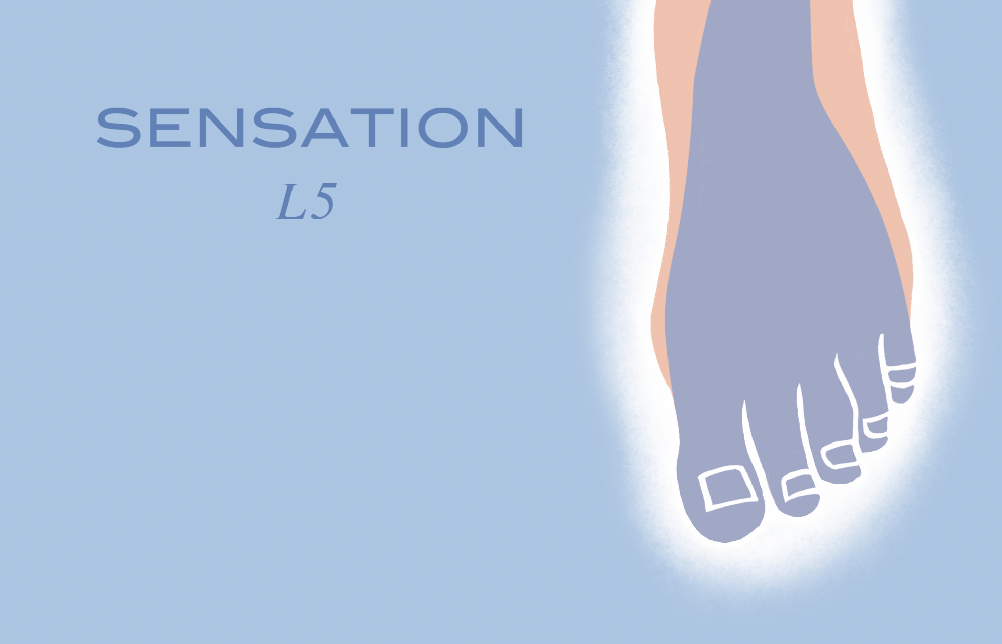 L5 Chiropractic Poster