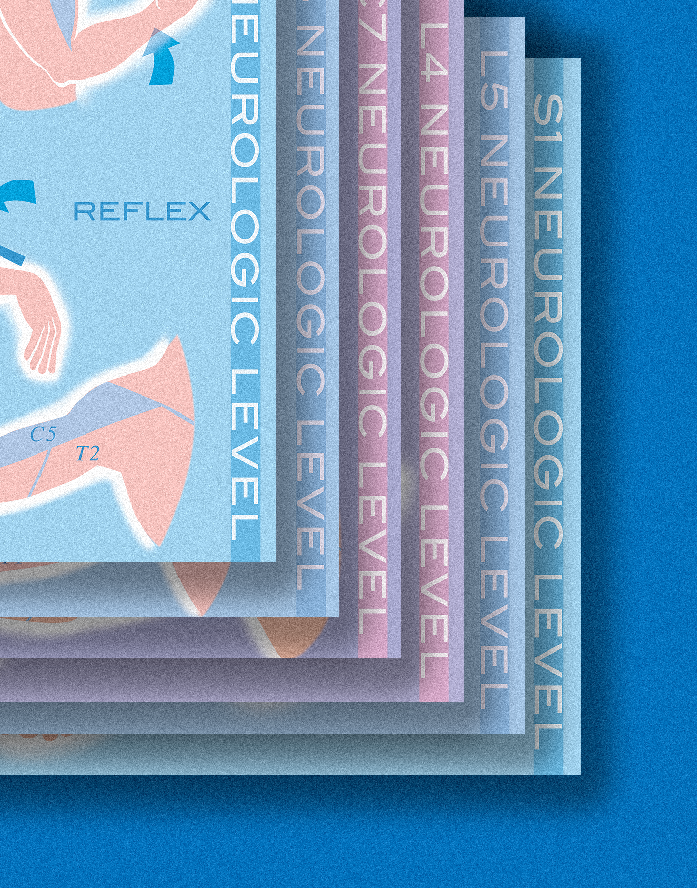 Chiropractic Posters (6-Pack)