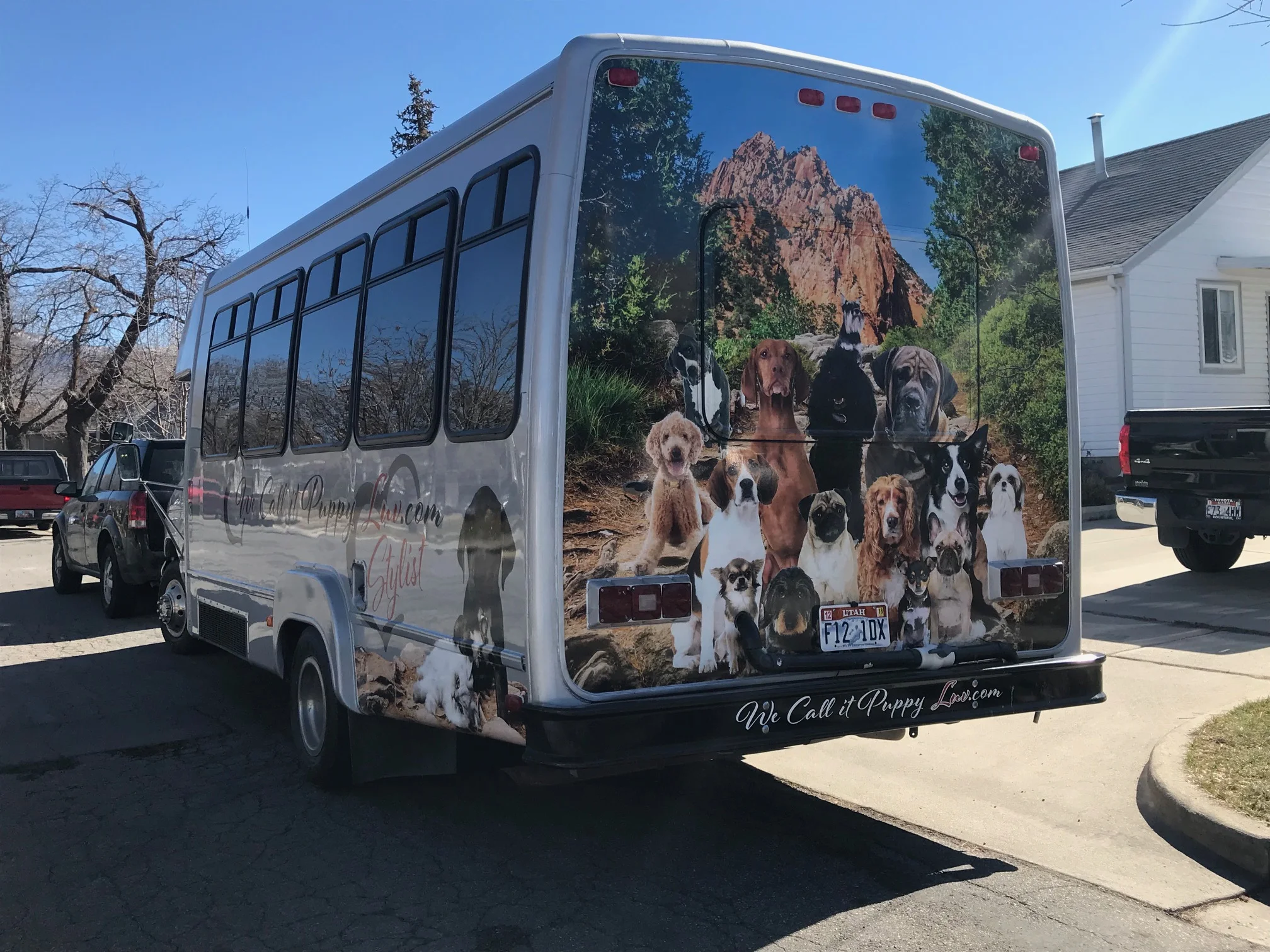 stinky dogs mobile grooming