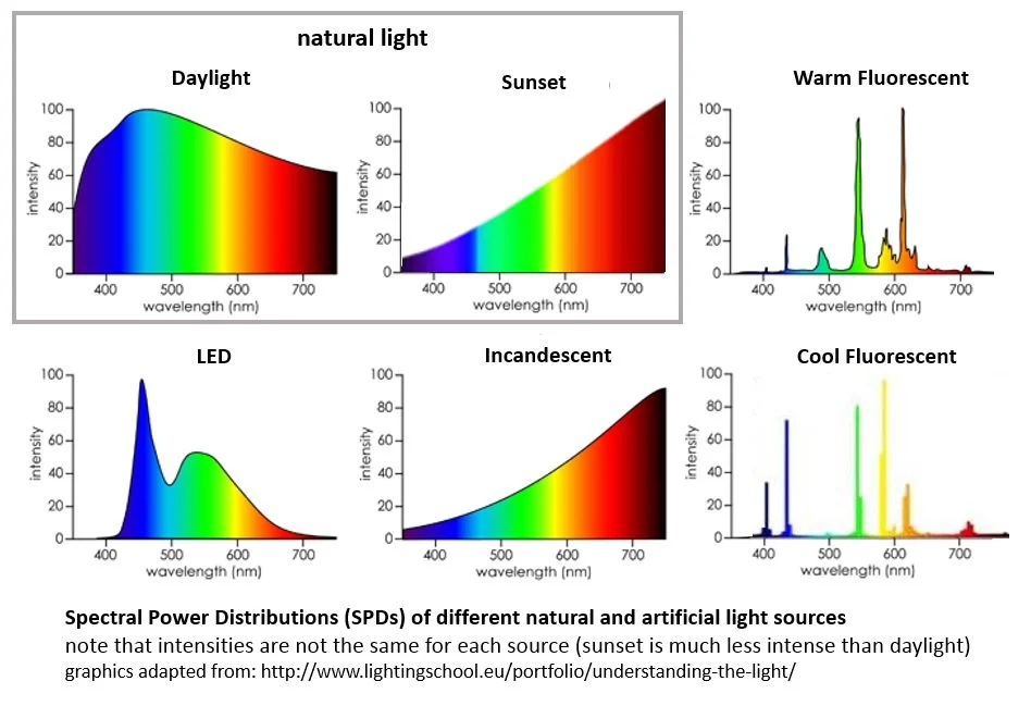 Note the high levels of blue vs the amount of red wavelength in the LED and Fluorescent spectral signatures. Notice the sunset signature has red and purple wavelengths as highest, which most closely matches the incandescent bulb signature. This is why I choose incandescent bulbs to light my home in the evening. As the evening progresses, I even dim my incandescents and sometimes use candles to continue to mimic the natural progression of dimming light at night for my hormonal health.