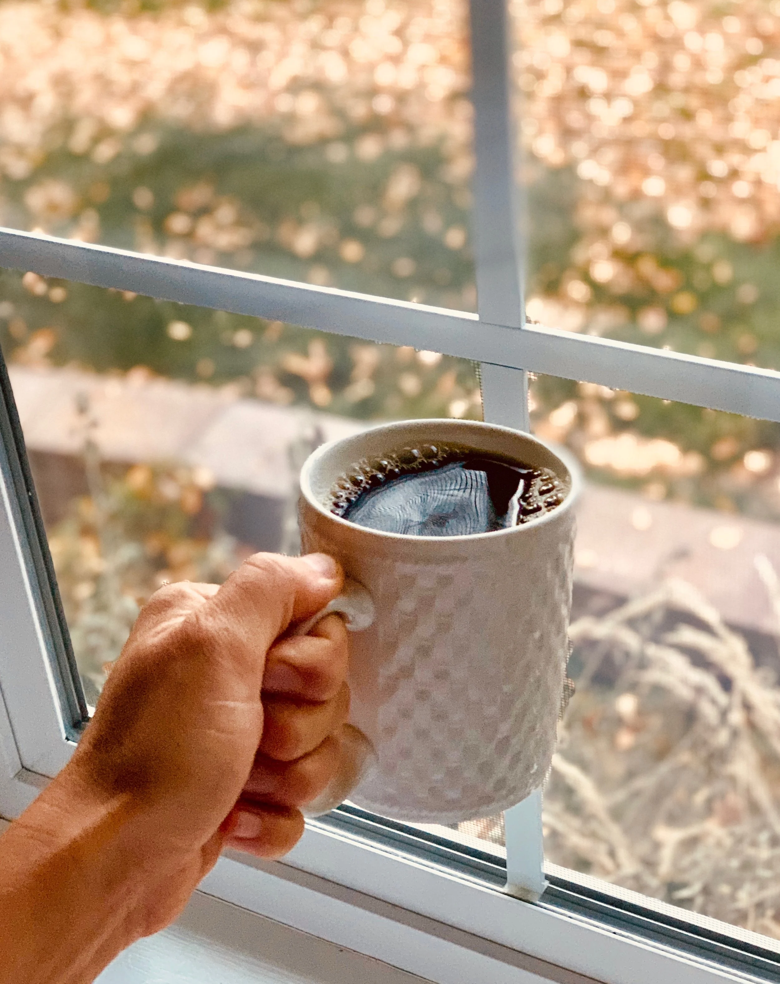 Let’s Talk About Your Morning Brew… Update on the Latest Coffee Research! ☕️
