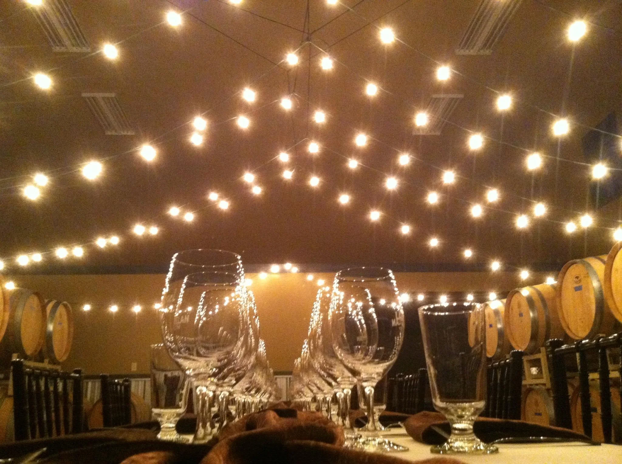 wine dinner.jpg