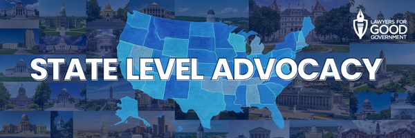 Image of usa map and government buildings. Words State Level Advocacy.
