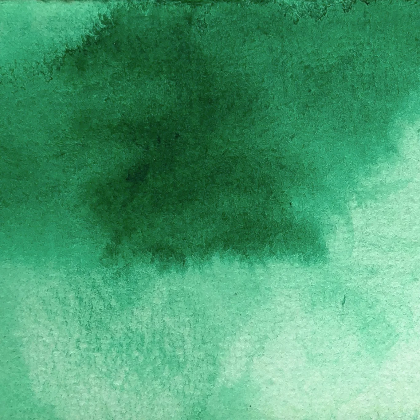 phthalo green swatch.jpg