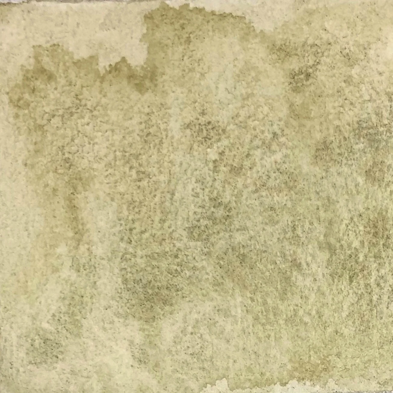 serpentine swatch.jpeg