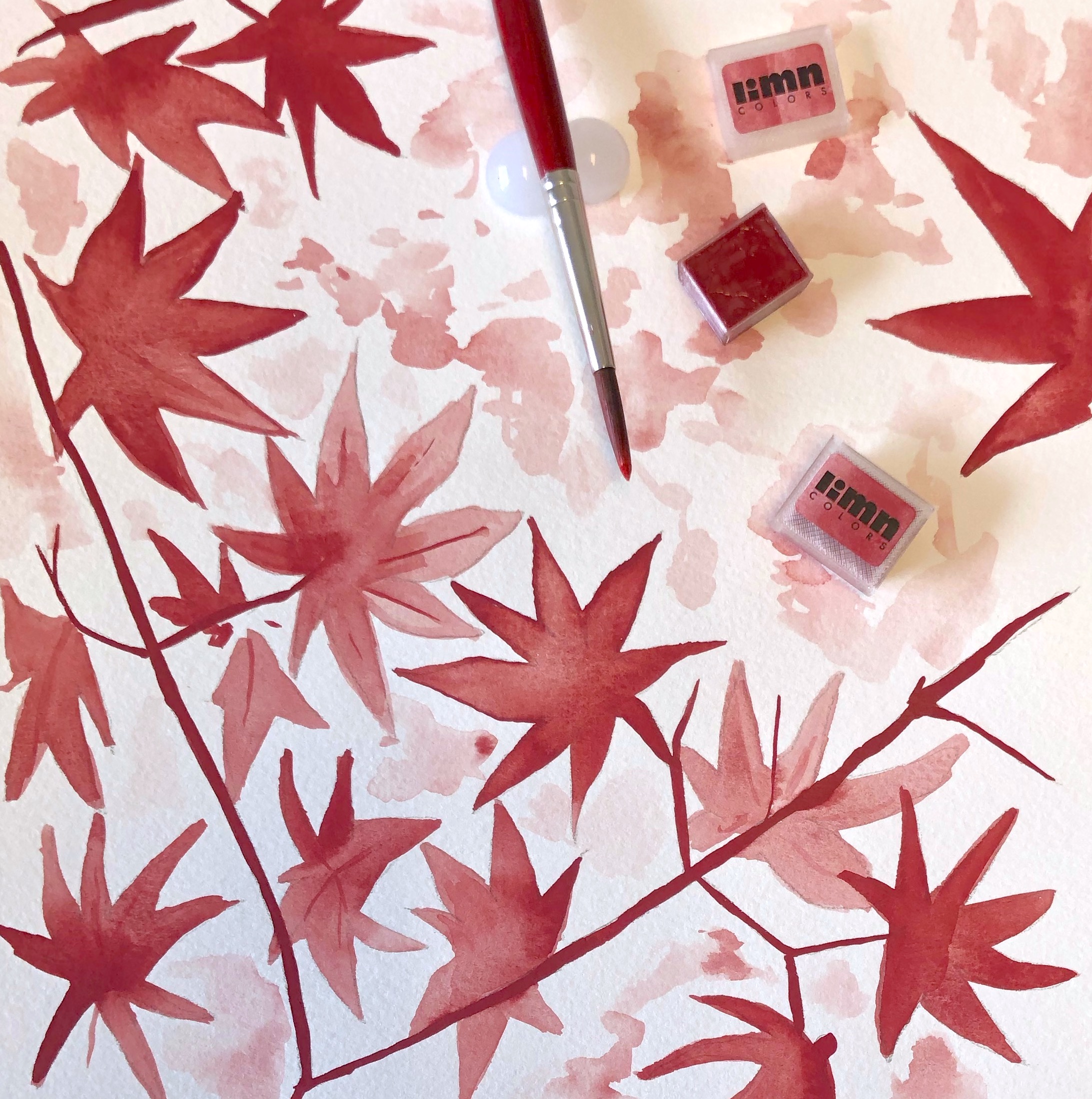 cadmium maroon.jpeg