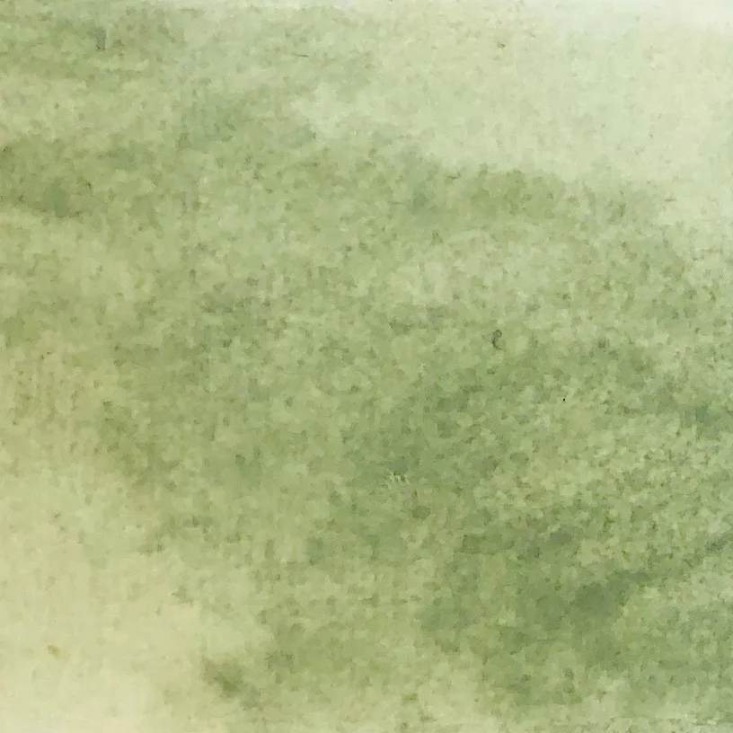 green earth swatch.jpeg